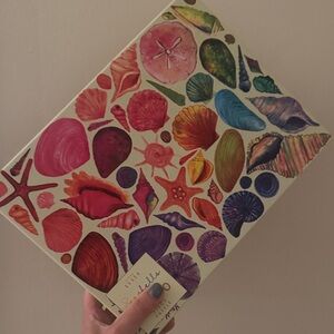 Elena Essex Colorful Seashell Art Print